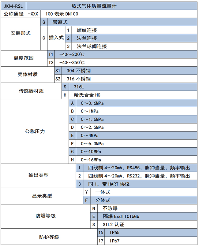 DN20熱式氣體質量流量計選項表